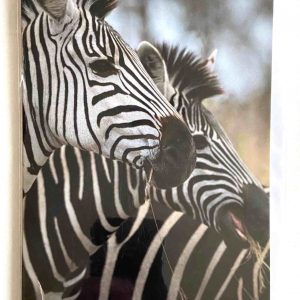 Art Card – Zebra (CP)