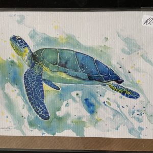 Art Card – Turtle