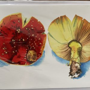 Art Card – Mushrooms