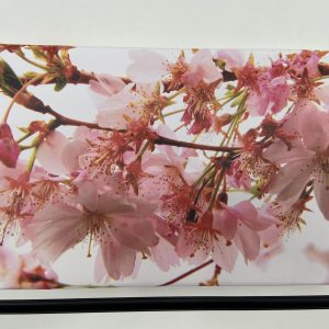 Photography On Canvas – Flowers (pink blossom)