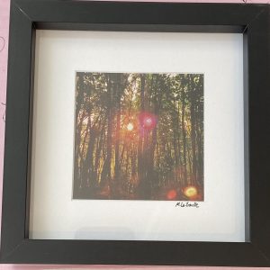 Framed Photography – Untitled (Magical)