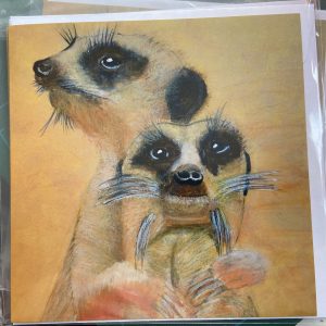 Art Card – Meerkats
