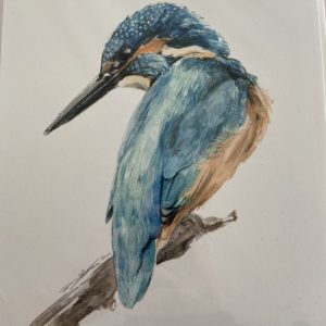 Print – Kingfisher (Limited Edition)