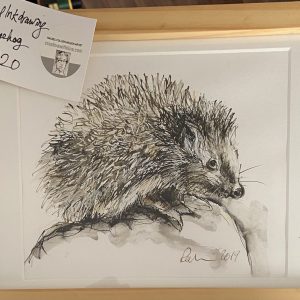 Original Paintings – Hedgehog (original ink drawing)
