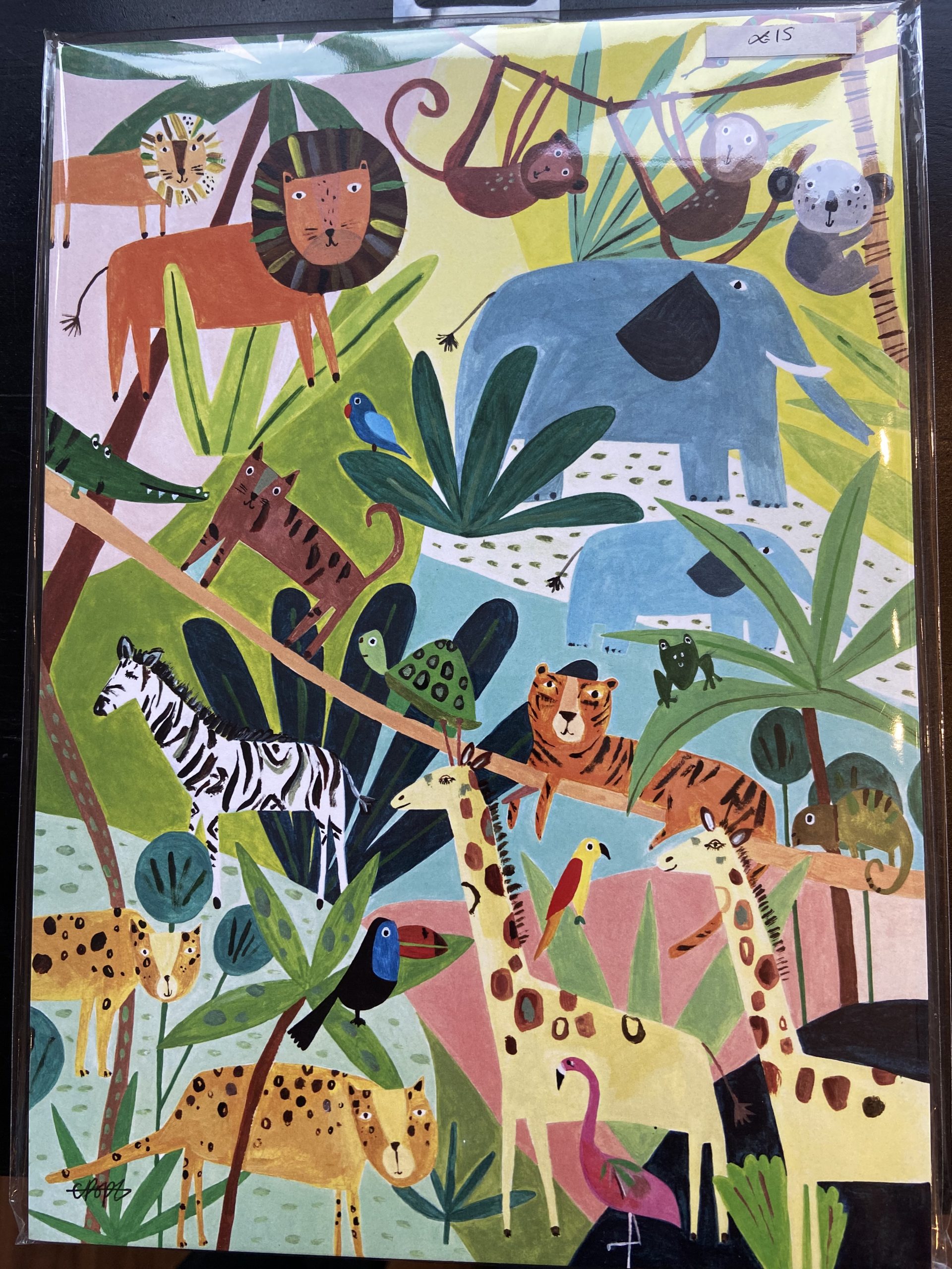 Mounted Prints - Jungle (colour) - Pier Road Coffee & Art