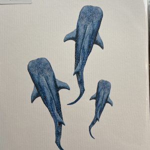 Mounted Prints – 3 Sea Life