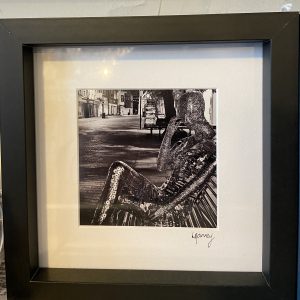 Framed Photography – Untitled (NHS Covid Memorial- Chichester)