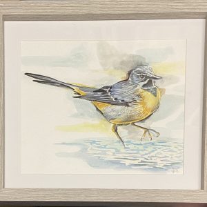 Original Paintings – Bird (framed)