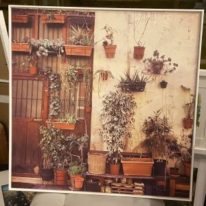 Large Art – Barcelona Backstreets (Flower Pots)