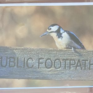 Art Card – Public Footpath (AP)