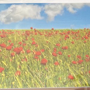 Art Card – Poppy Field (AP)