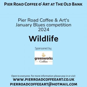 January Blues 2024 – Wildlife Category Sponsored By Greenworks Coffee