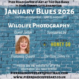 PRCA JB 26 – Wildlife Photography  – Sponsored by Elmer Honey